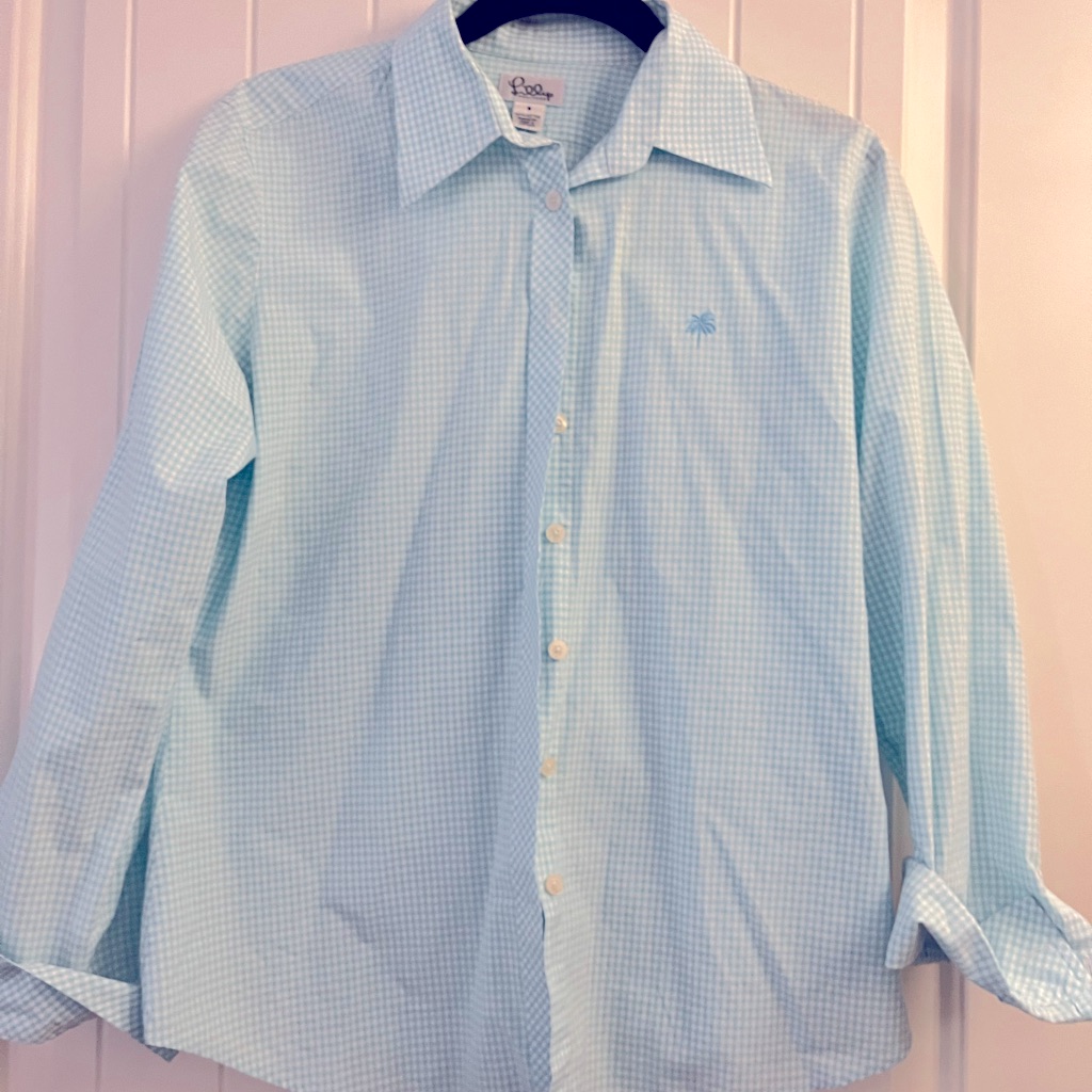 Checked Lilly Blouse Aqua Blue And White